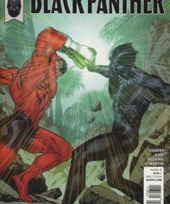 Black Panther #166