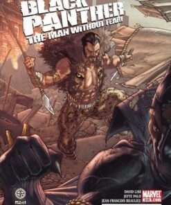 Black Panther The Man Without Fear #519