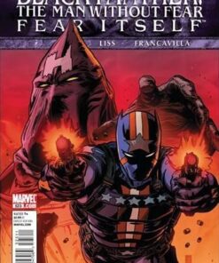 Black Panther The Man Without Fear #523