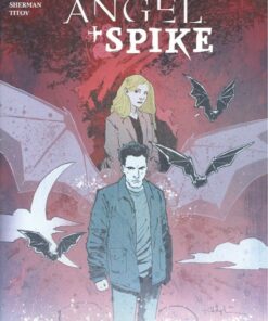 Angel & Spike #14 Cover A Dan Panosian