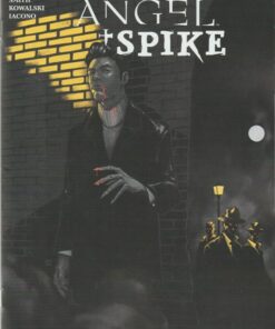 Angel & Spike #13 Cover A Dan Panosian