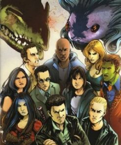 Angel: After the Fall #5 Retail Incentive Cover B